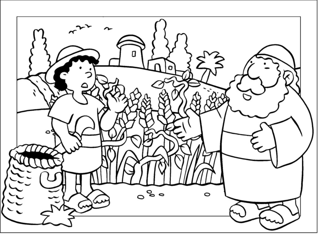 wheat and tares coloring page